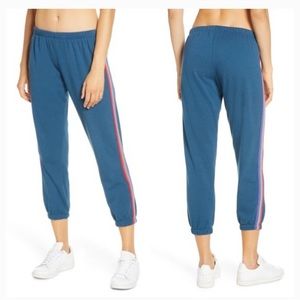 Spiritual Gangster Perfect Sweatpants in Carribean